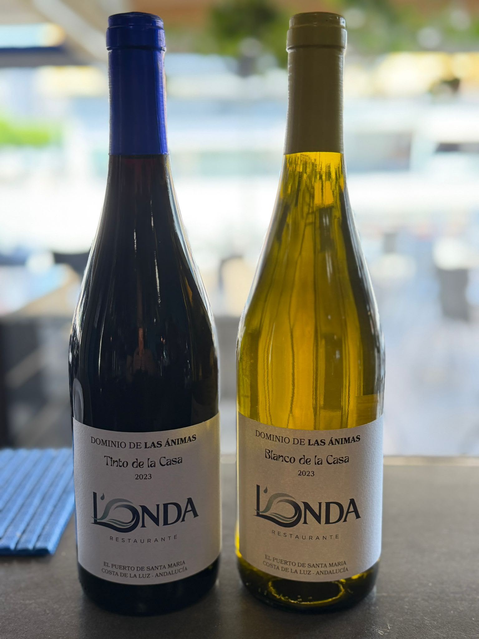 Vinos de la casa de L'ONDA — Tinto y Blanco de la Casa